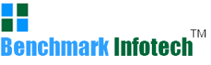 Bench Mark Infotech Services Limited logo